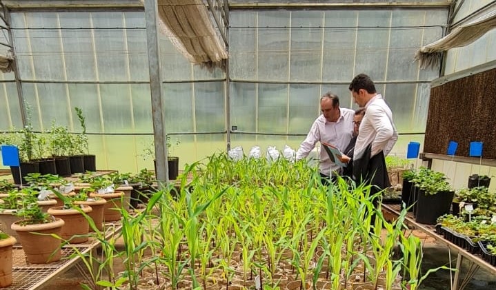 Israeli-Led Research Team Enhances Plant Cloning Technology for Better Crops