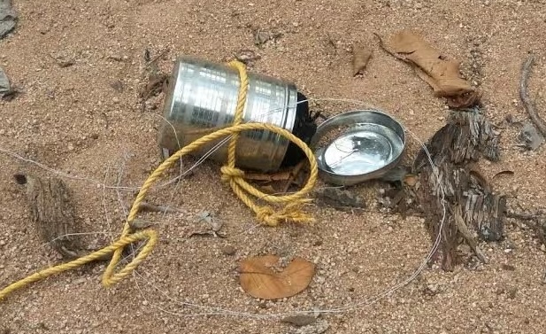 CISF Diffuses 4 Tiffin Bombs in Chhattisgarh,