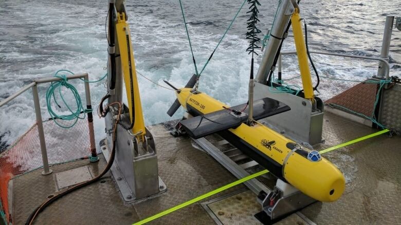 Kraken Robotics Mine-Hunting Sonar Systems Operational with the Royal Danish Navy