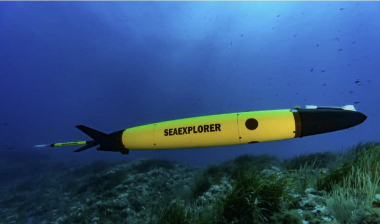 Japan Evaluates French and American Underwater Gliders to Boost Maritime Defense